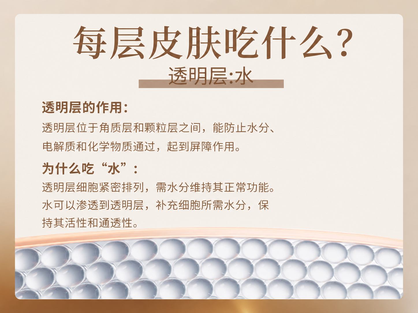 产品展示